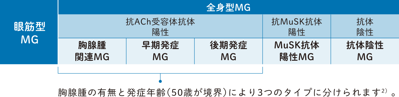 どのようなタイプがあるの？